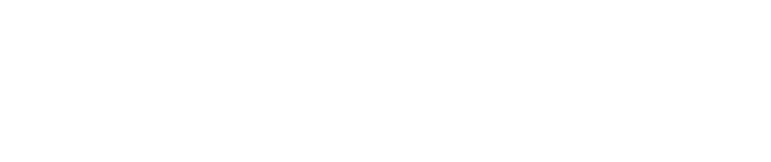 BiVenture Group