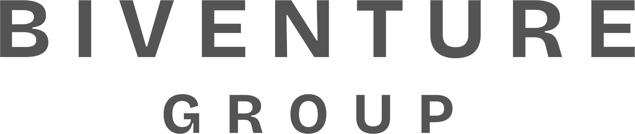 BiVenture Group